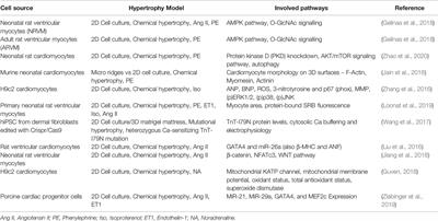 New Insights and Current Approaches in Cardiac Hypertrophy Cell Culture, Tissue Engineering Models, and Novel Pathways Involving Non-Coding RNA